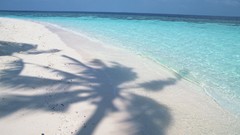 Palm Trees beach shadow Maldives
