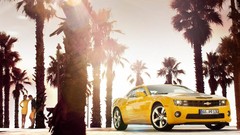 Palm trees chevrolet camaro yellow cars EU