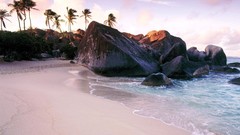 Palm trees rocks Beaches virgin islands sea shorelines