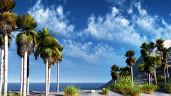 Palms clouds Sea Trees