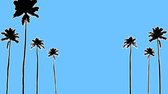 Palmtrees high