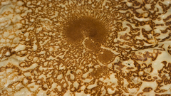 Pancake texture high Art