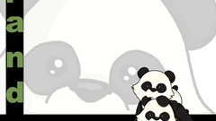 Panda bears