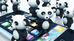Panda bears iphone