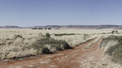 Panorama post some nature