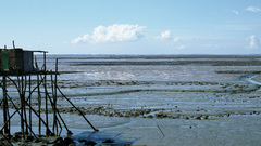 Panoramic when growd Up