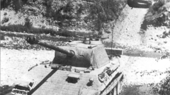 Panther panthers high