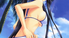 Panties bra palm trees