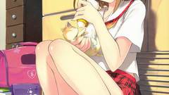 Panties cats blue eyes