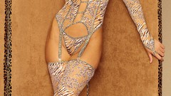 Panties stockings garter belts