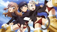 Panties strike witches animal