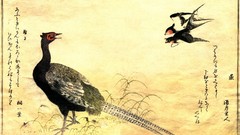 Paper Birds Japanese swallow pheasant writing kanji artwork 