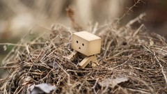 Paper cardboard danboard nest