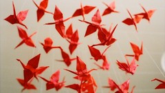 Paper Cranes orange box