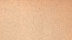 Paper dear hrplease hit