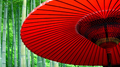 Paper parasol nature