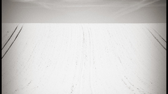 Paradis blanc by parrot