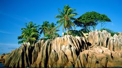 Paradise Seychelles found