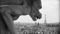 Paris grayscale gargoyle monochrome