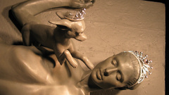 Paris hilton autopsy btwshoop