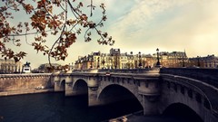 Paris pont neuf