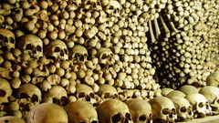 Paris skulls catacombes