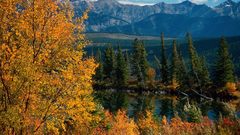 Park fall Canada alberta golden National jasper 1600x1200