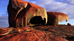 Park Island chase kangaroo rocks National remarkable flinders