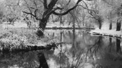 Park valley monument high Resolution