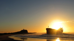 Pasha Bulker by jonathondeans