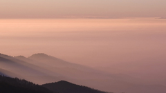 Pastel sunset nature