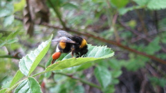 Patagonia took photo its