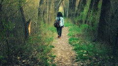 Paths forests Armenia Ann
