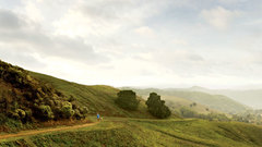 Paths running jogging