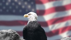 Patriotic Redneck American Eagles