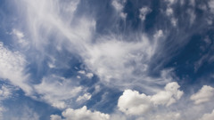 Pattern abstract tenticle cloud