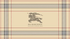 Patterns burberry designer label