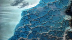 Patterns French Polynesia