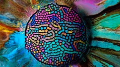 Patterns paint abstract liquid multicolor ferrofluid paintwork