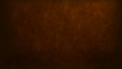 Patterns paint fur Textures