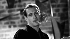 Paul newman