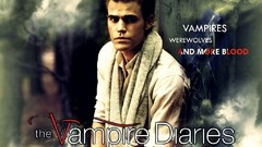 Paul Wesley stefan Salvatore