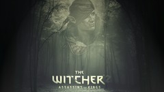 PC elves pc games the witcher the witcher 2 assassins of kings 