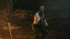 Pc games the witcher the witcher 2 assassins of kings White 