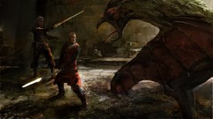 PC Swords pc games RPG the witcher the witcher 2 assassins of 