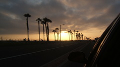 Pch cali high