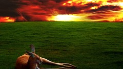 Peace of mind fantasy art Lemmy X