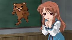 Pedobear asahina mikuru meme
