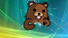 Pedobear broken screen