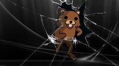 Pedobear broken screen microsoft